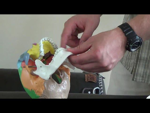 Семинар Краниосакральная терапия 2 КСТ2_035 смотреть онлайн