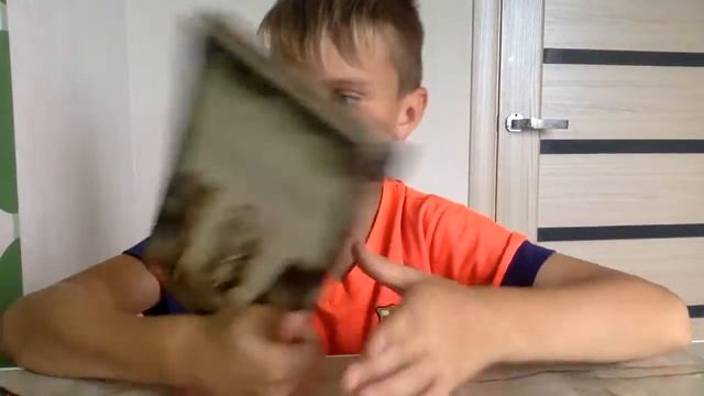 ОБЗОР НА ДЕТСКИЙ ДЕТЕКТИВ СОВЕТУЮ ПОСМОТРЕТЬ Максим Полевик смотреть онлайн