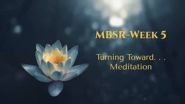 MBSR Week: 5 Turning Toward. . . Meditation смотреть онлайн