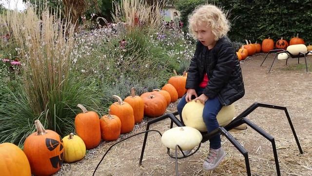 Тыквенный фестиваль в Германии- ВЛОГ| Бетти Беттика выбирает тыкву и её жизнь в Германии смотреть онлайн