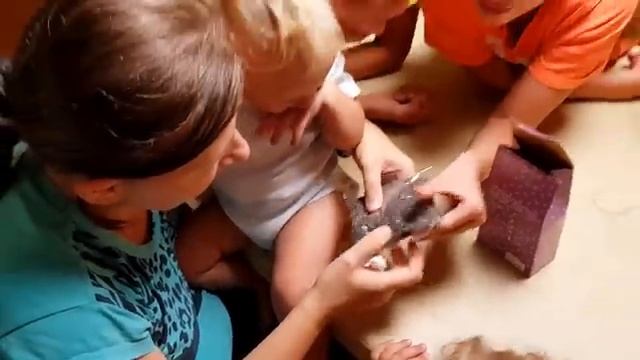 В первый раз это пробуем смотреть онлайн