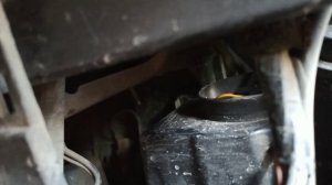 Renault Scenic 2 .Два способа замены ламп фар