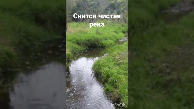 СНИТСЯ ЧИСТАЯ РЕКА. ВЕДЬМИНА ИЗБА ▶️ ИНГА ХОСРОЕВА смотреть онлайн
