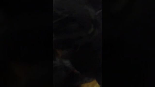 МАМА КУПАЕТ ДОЧКУ ПЕРЕД СНОМ ? смотреть онлайн