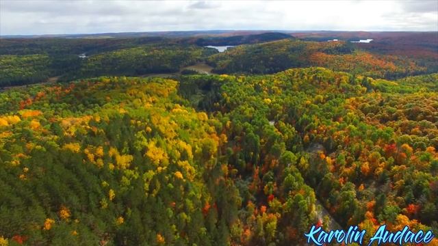 Осенний Вальс.Авторские стихи Каролин Одас
