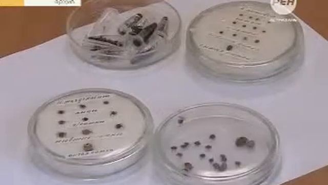 326 человек обратились в больницы Астраханской области из  за укуса клеща 16+