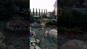 База отдыха Анастасия (пос.Мостовской ,Краснодарский край)