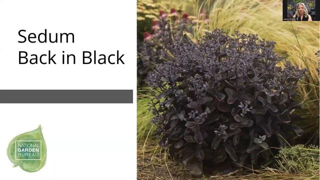 Ask the Experts about Goth Gardening смотреть онлайн