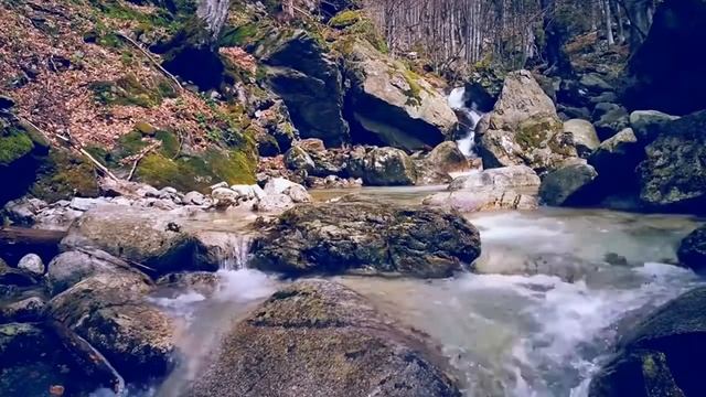 Мудрые цитаты о жизни. Слова способные изменить вашу жизнь! смотреть онлайн