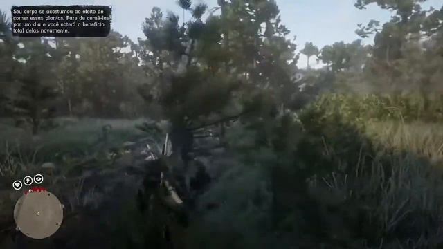 Localização Maitake - Red Dead Redemption 2 - Desafio Diário - XboxOne, Ps4 e Pc! смотреть онлайн