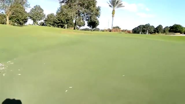 США Куда мы выносим МУСОР Орел съел цаплю! но оставил сердце ПРОГУЛКА смотреть онлайн