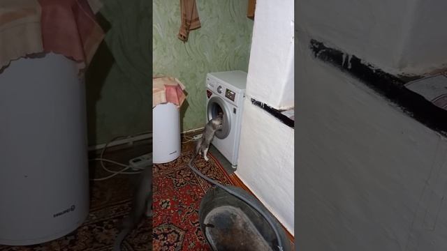 17 июля 2023 г. смотреть онлайн