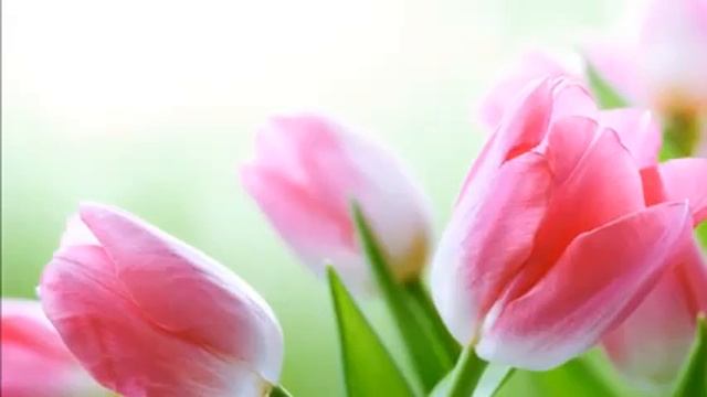 Мантра Интуиции. смотреть онлайн