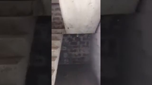 3 комн. Квартира 130 кв.м. на 4.5 этаже на Макаренко смотреть онлайн