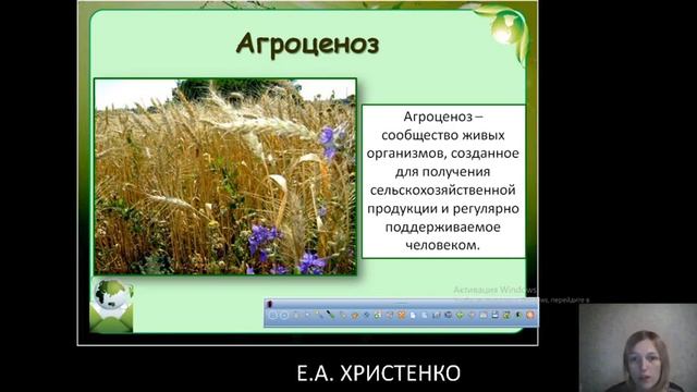 11 класс, занятие 09.04.2020 биогеоценоз смотреть онлайн