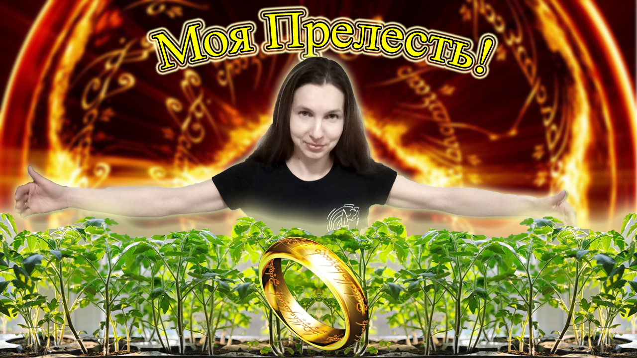 Какие семена выбрать для посадки? Сравнение всхожести семян. Обзор рассады. смотреть онлайн