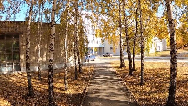 Осень золотая в Ульяновском Политехе смотреть онлайн