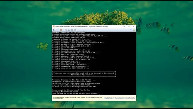 Install Microsoft SQL Server on Ubuntu смотреть онлайн