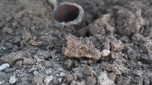 ???ПОЛИВ В САДУ И В ОГОРОДЕ - ВАЖНАЯ СОСТАВЛЯЮЩАЯ УСПЕХА ?????? смотреть онлайн