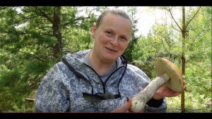 Грибная разведка 26 августа 2023. Приозерский район