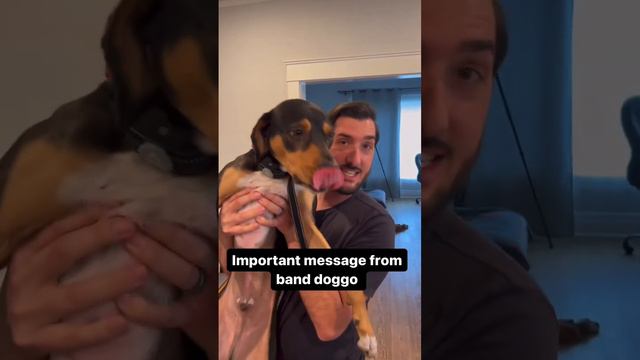 it’s called exploitation #rockband #musiciansoftiktok #musician #musicianlife #banddog смотреть онлайн