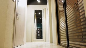 Зеркальная межкомнатная дверь с раздвижной системой Magic