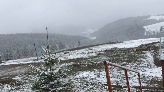 Летнее путешествие в Карпатах смотреть онлайн