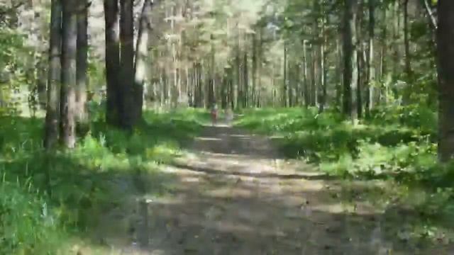 Притчи Мысли материальны Подсказка Выбери правильный путь смотреть онлайн