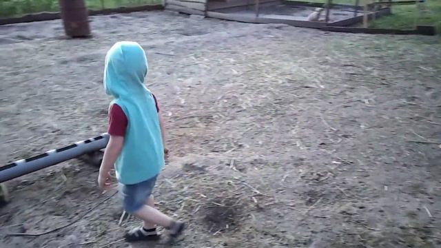Летний вечер 11 июня 2020 г. #село#лето#вечер смотреть онлайн