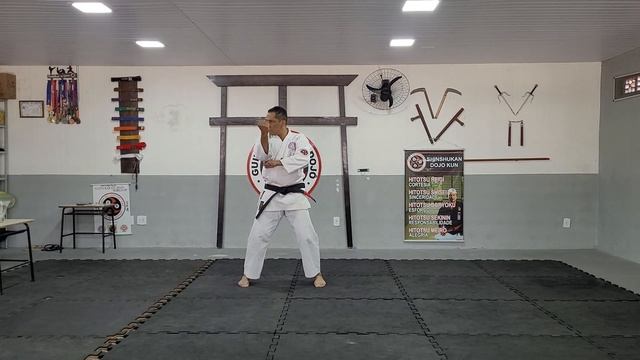 01-Naihanchi Shodan/kata shorin ryu смотреть онлайн