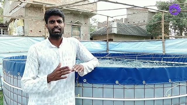 CN ratio in biofloc | Biofloc ammonia control | Biofloc carbon source | বায়োফ্লক এমোনিয়া কন্ট্রোল смотреть онлайн