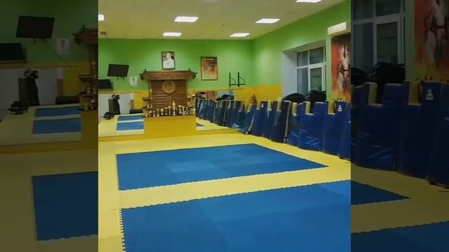 Зал Белогорской организации Киокусинкай Карате смотреть онлайн