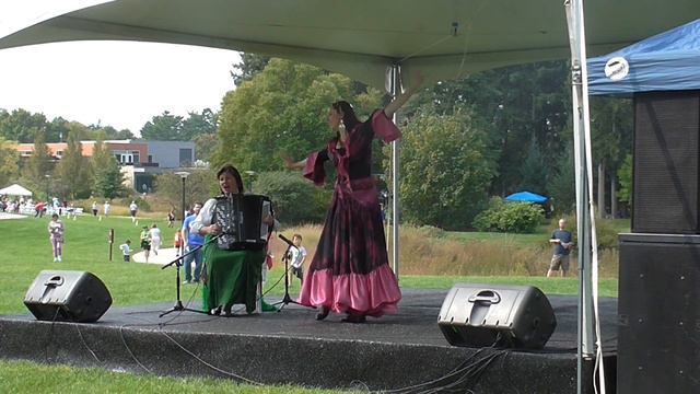 Chicago concert Nina Tritenichenko bayan accordion смотреть онлайн