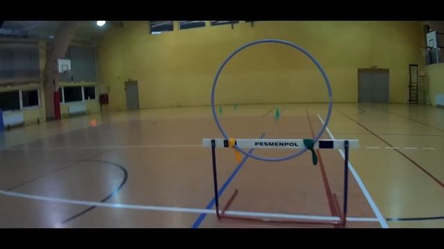 Mini Quad 250 HulaHop and 4x4 car race смотреть онлайн