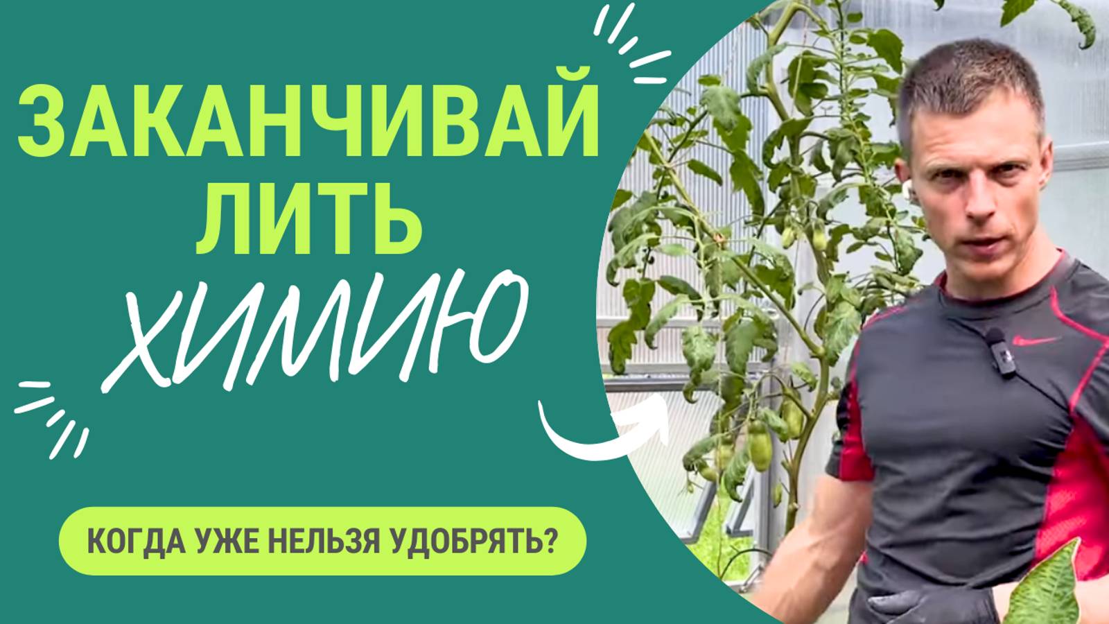 Когда заканчивать с химией и начинать использовать биопрепараты? смотреть онлайн