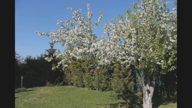 Коттедж в пригороде Тольятти, с. Подстепки смотреть онлайн