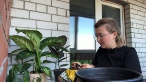 идеальный грунт для комнатных растений| рыхлый грунт | кокосовый субстрат и универсальный грунт