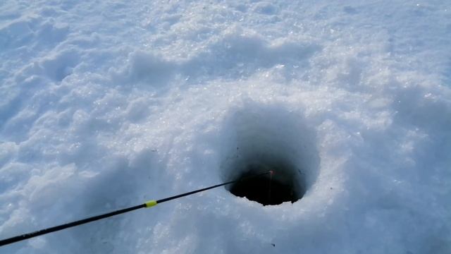 Щука и другие. Кого же больше? Сахалинская рыбалка & Sakhalin fishing смотреть онлайн