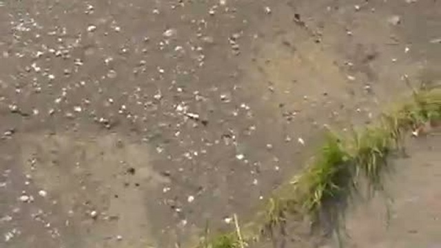 в состоянии аффекта