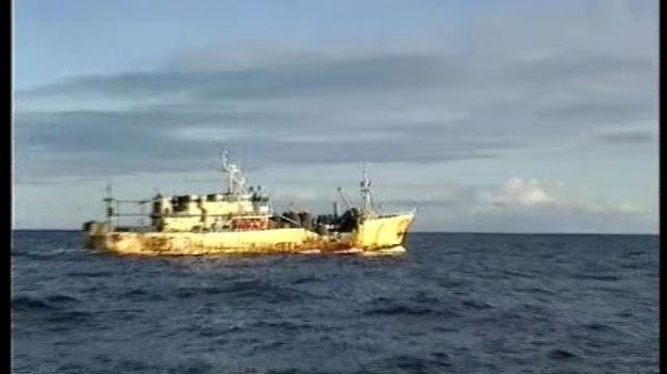 Крабовая лихорадка. Часть 2