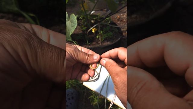 КАПЕЛЬНЫЙ ПОЛИВ ИЗ ПЭТ БУТЫЛКИ - ВЫВОДЫ смотреть онлайн