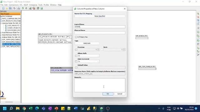 SQL POWER ARCHITECT PRATICA PT2 смотреть онлайн