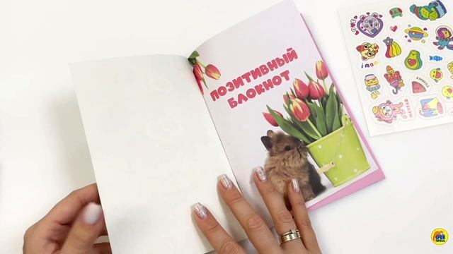 Позитивный блокнот с наклейками. Котик и пончики