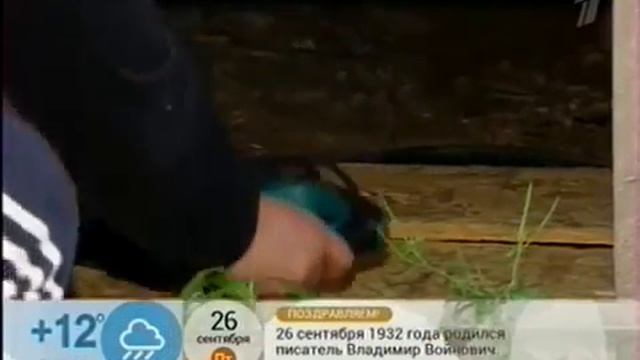 Как защитить дачу от воров часть 1 смотреть онлайн