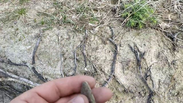 #КЛАД ЗОЛОТА 2019 ГОДА! #ВОПИЛ НА ВЕСЬ ЛЕС! смотреть онлайн