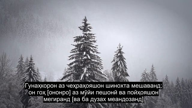 Боби 55 Қуръони Карим, Ки Дилсӯзкунанда Ва Дилсӯз Аст, 90+ Субтитрҳо смотреть онлайн
