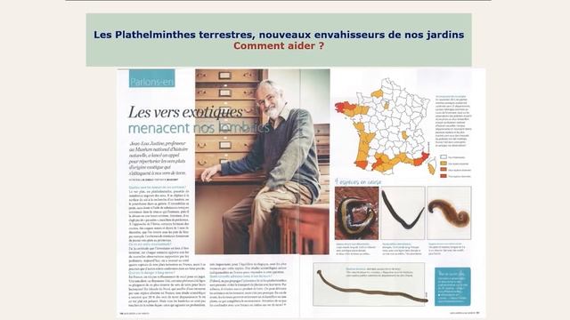 Les plathelminthes terrestres, nouveaux envahisseurs de nos jardins смотреть онлайн