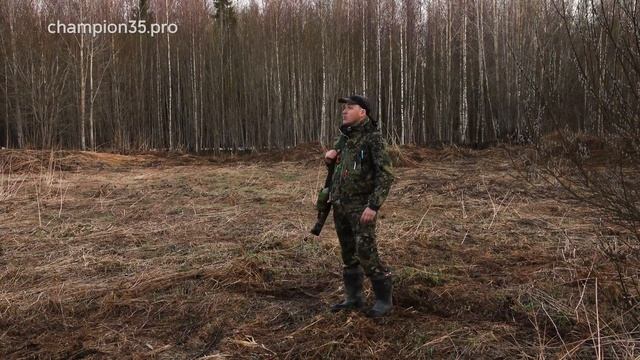 На вальдшнепа с манком #3 охота на вальдшнепа смотреть онлайн