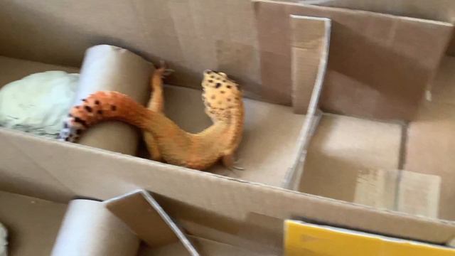 Васа проходит лабиринт смотреть онлайн