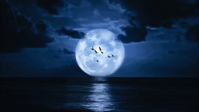 "Moon River" Cover. Yamaha PSR S770 смотреть онлайн